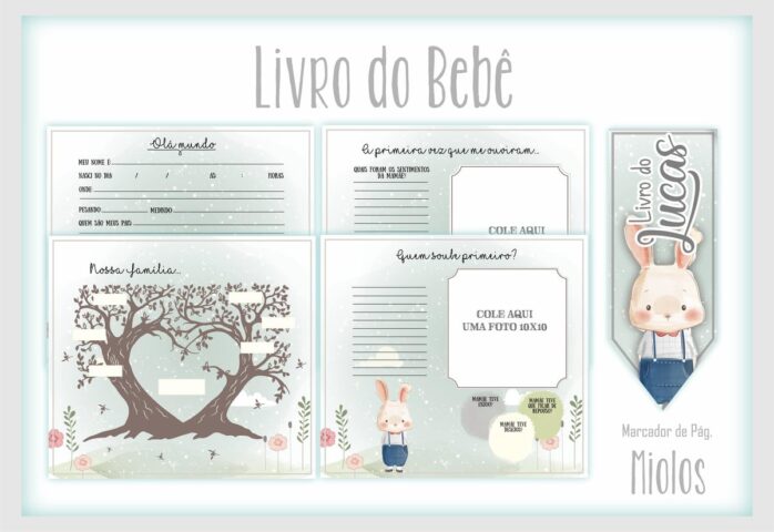 Livro do Bebê Coelhinho