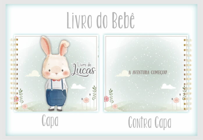 Livro do Bebê Coelhinho