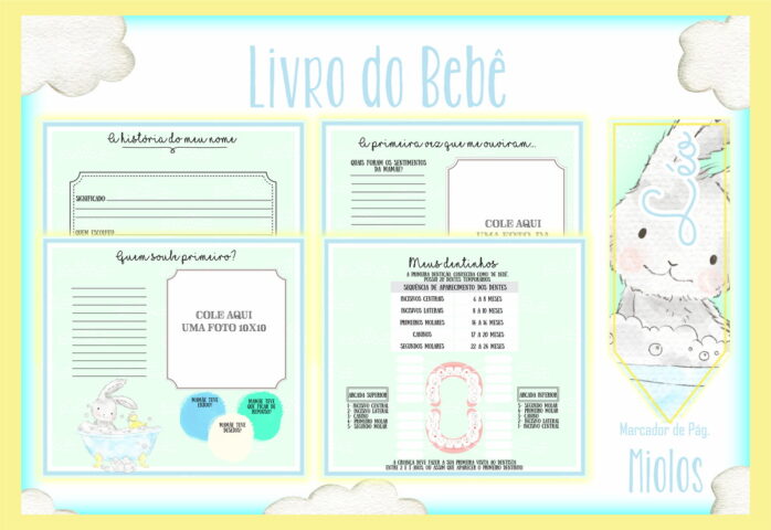 Livro do Bebê Hora do Banho