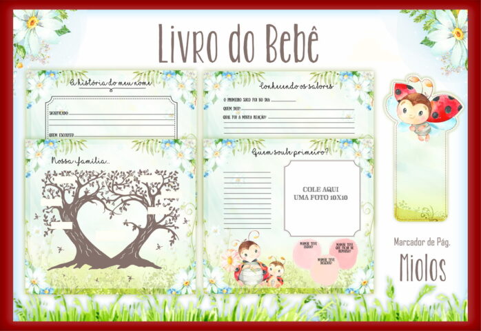 Livro do Bebê Joaninha