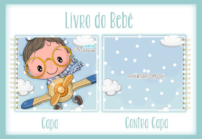 Livro do Bebê Menino Aviador I