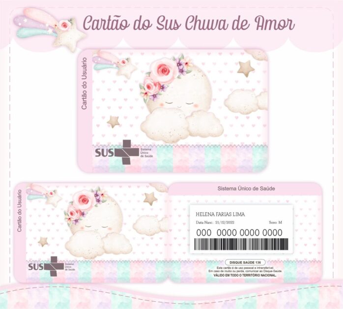 Livro e Caderneta Chuva de Amor Rosinha