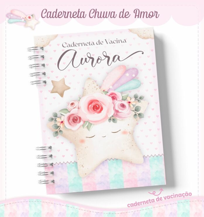 Livro e Caderneta Chuva de Amor Rosinha