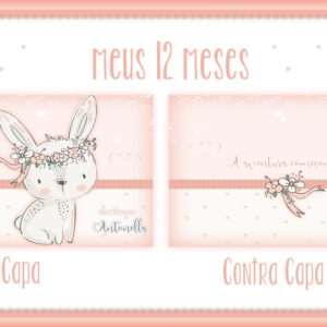 Livro Meus 12 Meses Coelhinha