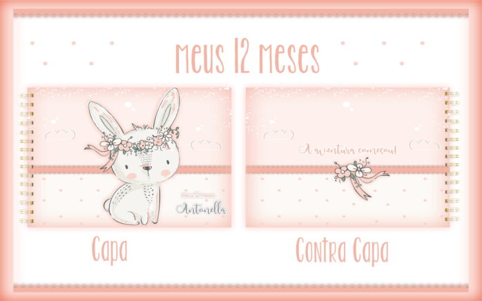 Livro Meus 12 Meses Coelhinha