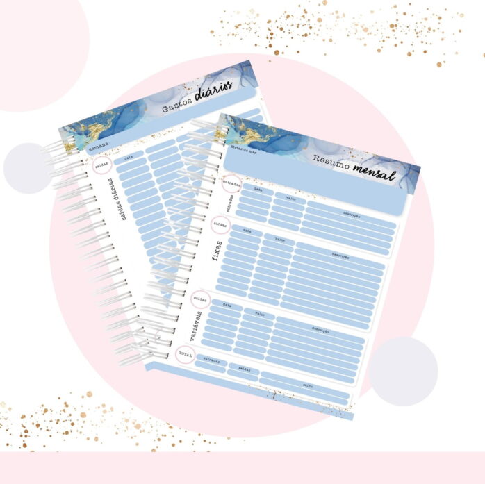 Organizador Financeiro - Coleção Viva