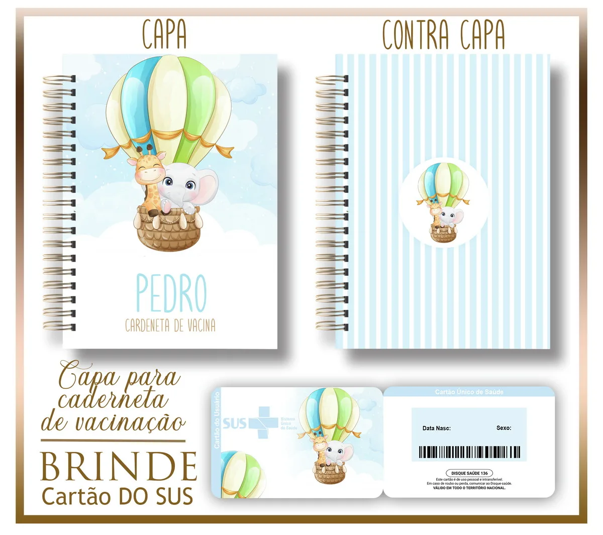 Pack Capas e Cartão Sus Infantil