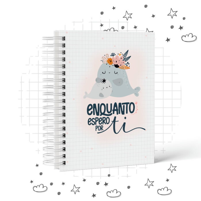 Pack Diario De Gestante Enquanto Espero Por Ti 2