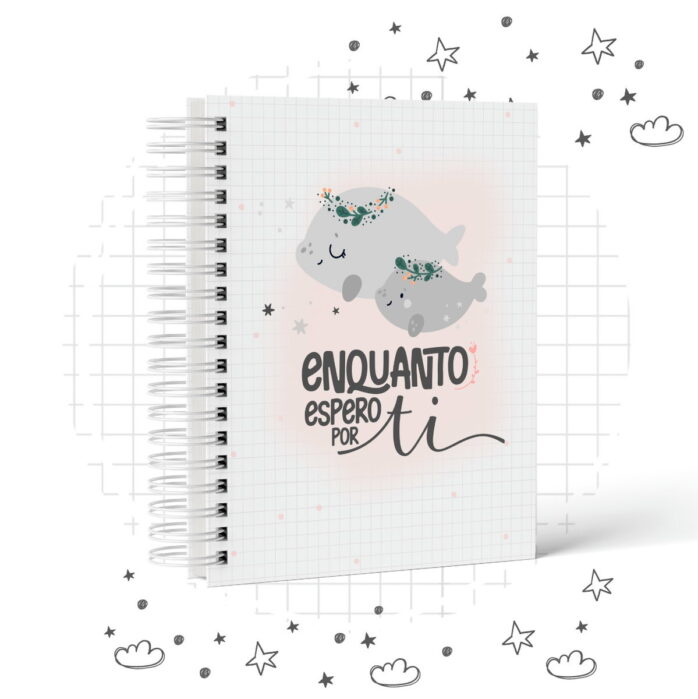 Pack Diario De Gestante Enquanto Espero Por Ti 4