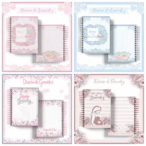 Pack Diário de Gravidez 10 Pack Diário de Gravidez