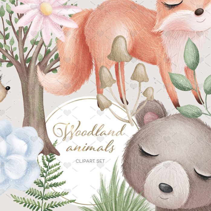 Pack Ilustrações Animais Da Floresta Bosque Encantado Bebês