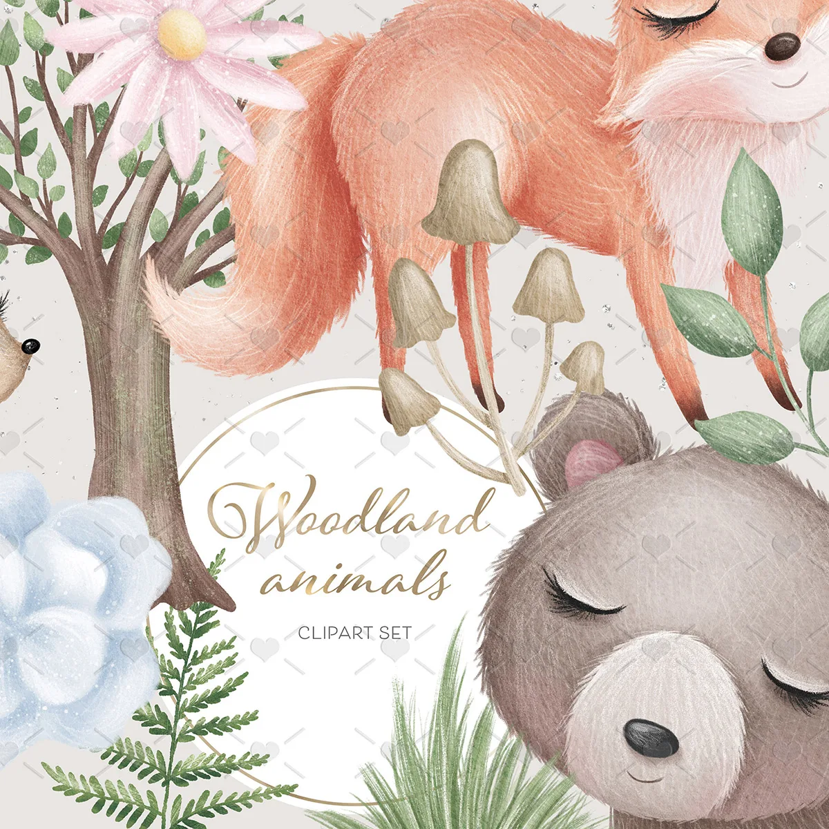 Pack Ilustrações Animais Da Floresta Bosque Encantado Bebês