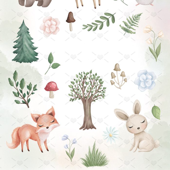Pack Ilustrações Animais Da Floresta Bosque Encantado Bebês