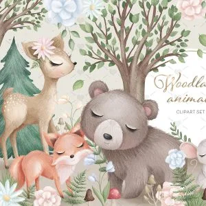 Pack Ilustrações Animais Da Floresta Bosque Encantado Bebês