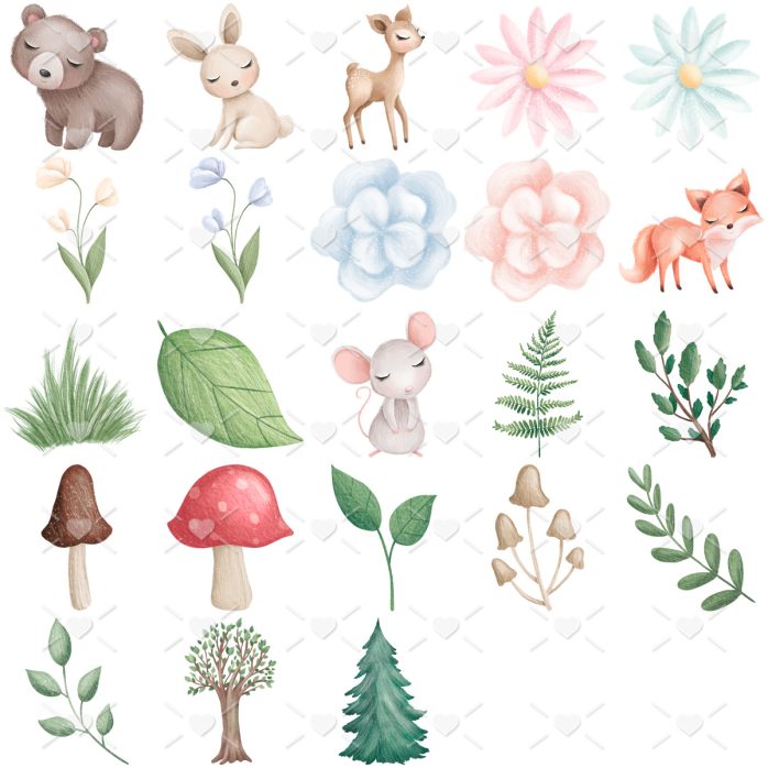 Pack Ilustrações Animais Da Floresta Bosque Encantado Bebês