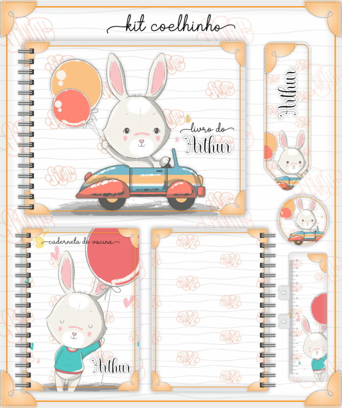 Pack Livro e Caderneta do Bebê