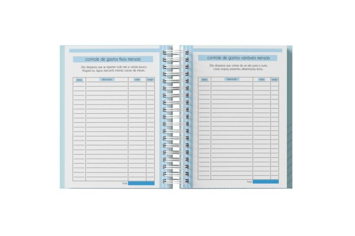 Planner Financeiro Feminino 2025