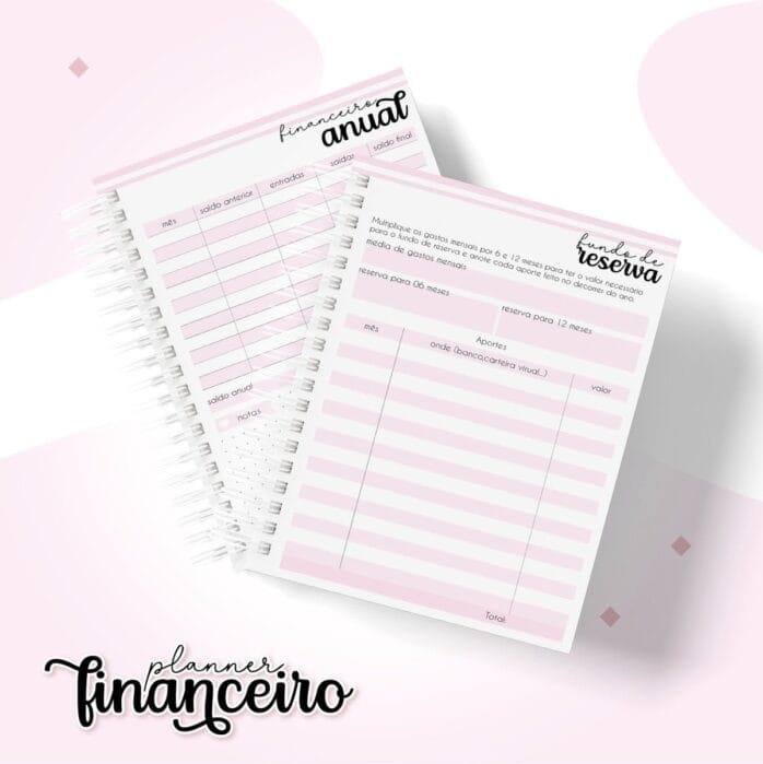Planner Financeiro Pessoal Feminino