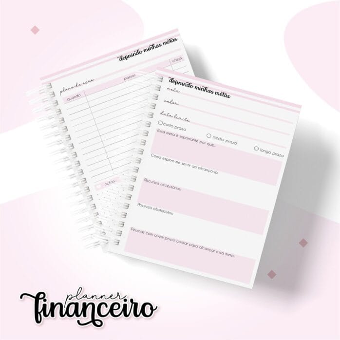 Planner Financeiro Pessoal Feminino