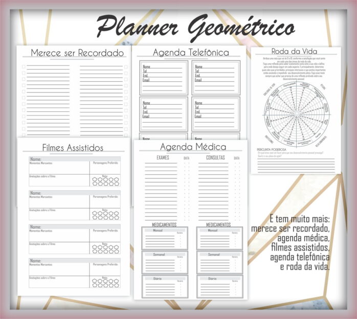 Planner Geométrico