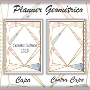 Planner Geométrico
