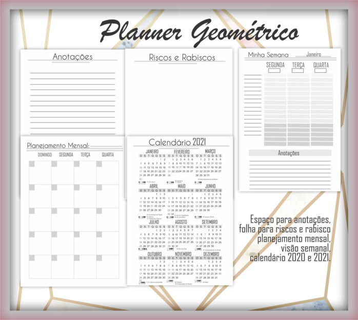 Planner Geométrico
