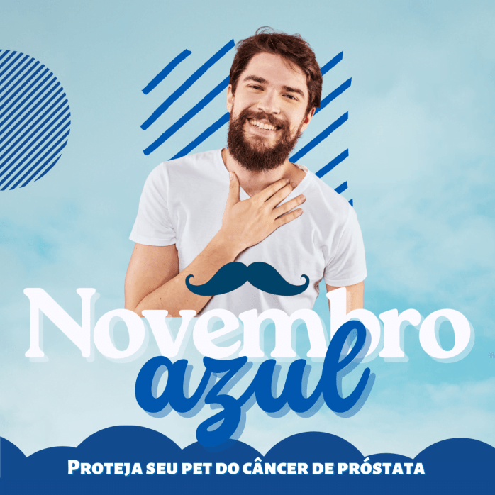 Templates Canva Novembro Azul 30 Artes Editáveis + Bônus