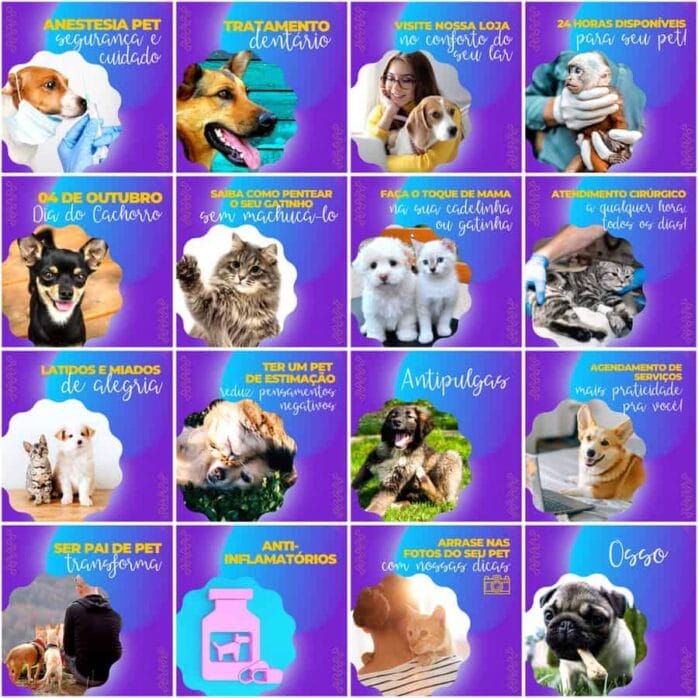Templates Canva Pet Shop 200 Artes Editáveis + Legendas