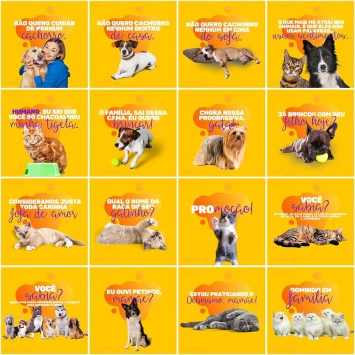 Templates Canva Pet Shop 200 Artes Editáveis + Legendas