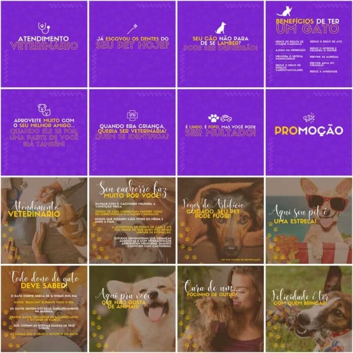 Templates Canva Pet Shop 200 Artes Editáveis + Legendas