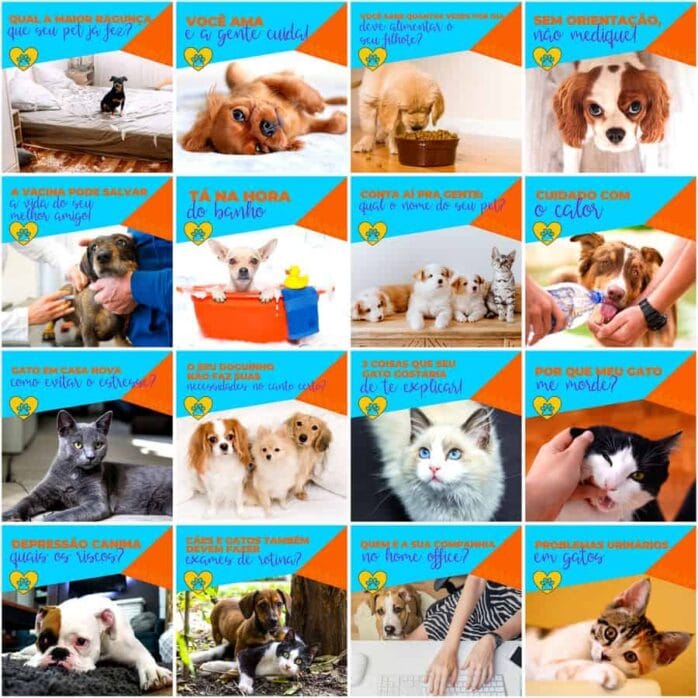 Templates Canva Pet Shop 200 Artes Editáveis + Legendas