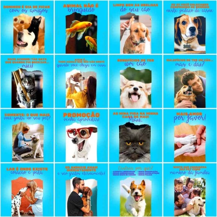 Templates Canva Pet Shop 200 Artes Editáveis + Legendas
