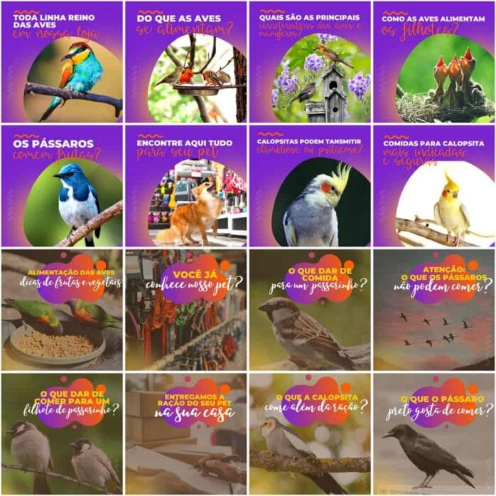 Templates Canva Pet Shop 200 Artes Editáveis + Legendas
