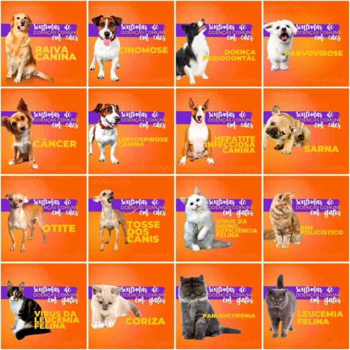 Templates Canva Pet Shop 200 Artes Editáveis + Legendas