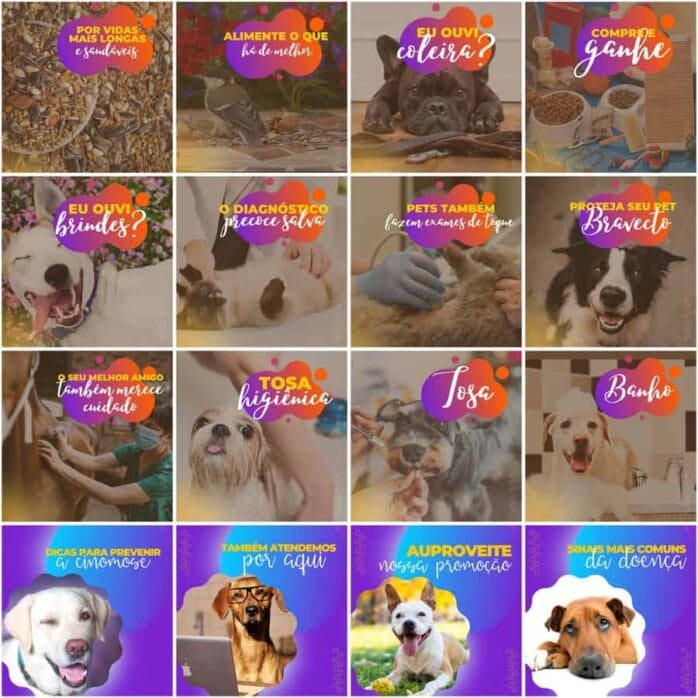 Templates Canva Pet Shop 200 Artes Editáveis + Legendas