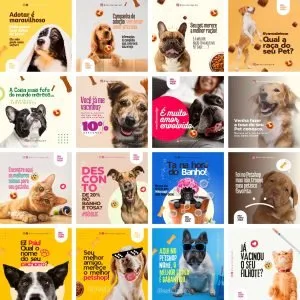Templates Canva pet Shop Petshop 39 Artes Editáveis + Bônus 11 Templates Canva pet Shop Petshop 39 Artes Editáveis + Bônus