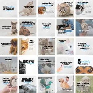 Templates Canva Veterinário Pet Shop Petshop 2.0 25 Artes Editáveis + Bônus